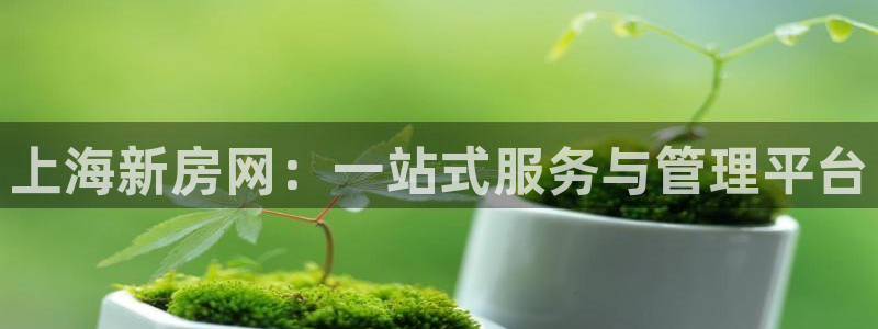 下载新宝5：上海新房网：一站式服务与管理平台