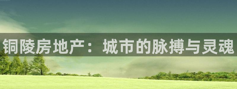 新宝5_测：铜陵房地产：城市的脉搏与灵魂