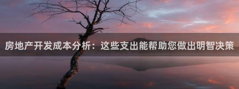 新宝5娱乐同：房地产开发成本分析：这些支出能帮助您做出明智决