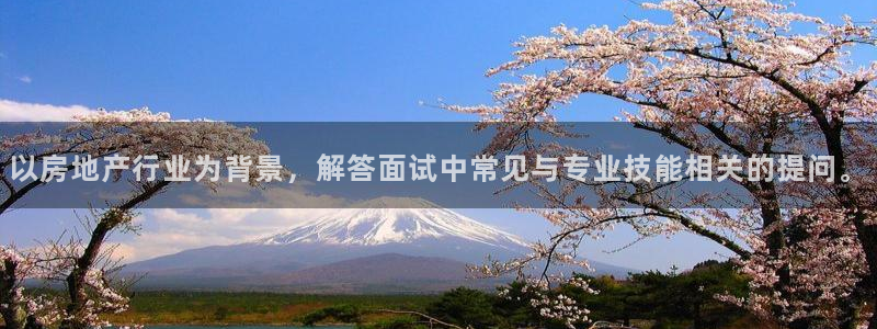 新宝5线路：以房地产行业为背景，解答面试中常见与专业技能相关