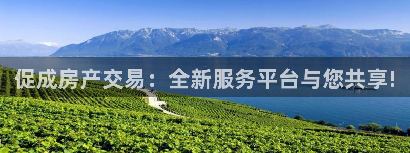 新宝5注册平台：促成房产交易：全新服务平台与您共享!