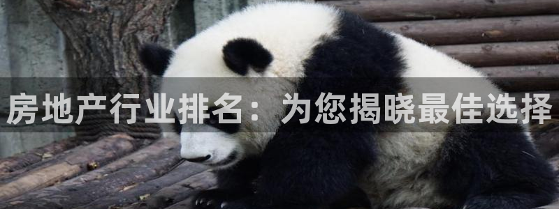 新宝5苹果手机下载：房地产行业排名：为您揭晓最佳选择