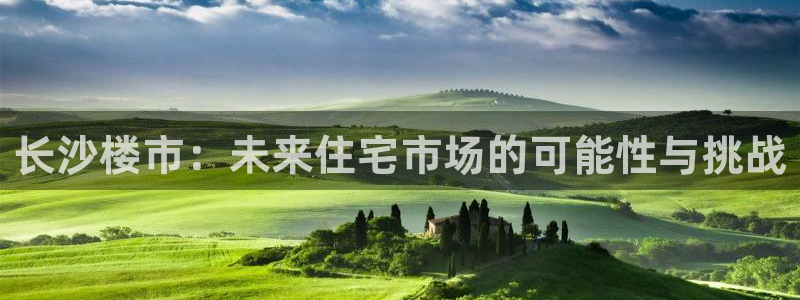 新宝 5测速：长沙楼市：未来住宅市场的可能性与挑战