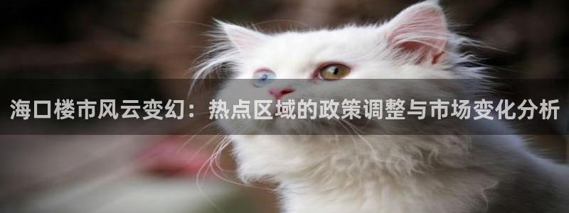 新宝j2O5O5O：海口楼市风云变幻：热点区域的政策调整与市