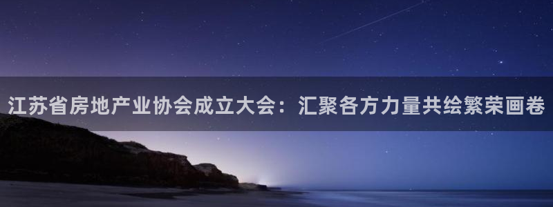 新宝5尤74OOO5：江苏省房地产业协会成立大会：汇聚各方力