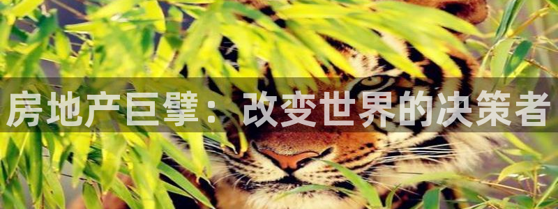 新宝5下载注册：房地产巨擘：改变世界的决策者