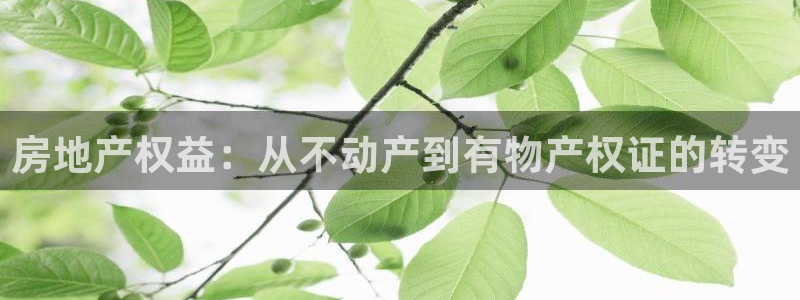 新宝5主管：房地产权益：从不动产到有物产权证的转变