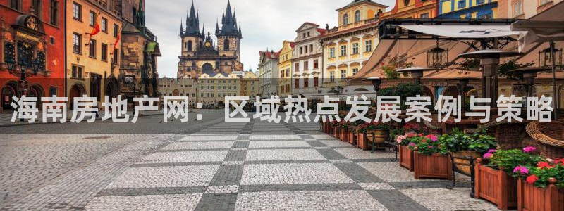 新宝5骗术：海南房地产网：区域热点发展案例与策略