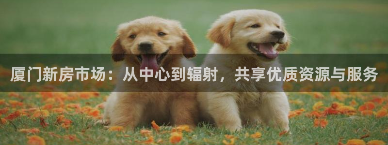 p5r新宝魔：厦门新房市场：从中心到辐射，共享优质资源与服务