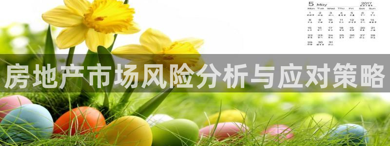 新宝5策略：房地产市场风险分析与应对策略