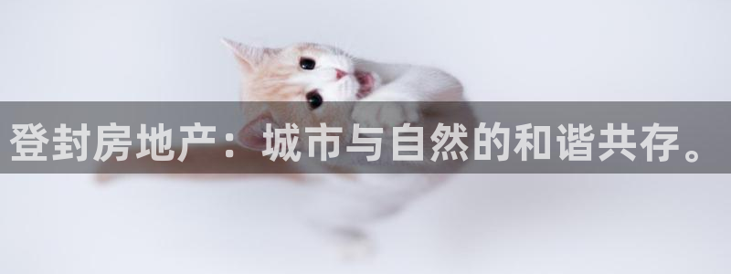 新宝xb5：登封房地产：城市与自然的和谐共存。