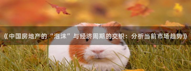 新宝5源码：《中国房地产的“泡沫”与经济周期的交织：分析当前