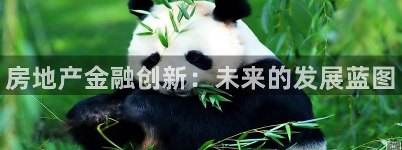 新宝5寻33 300球：房地产金融创新：未来的发展蓝图
