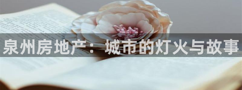新宝5娱乐：泉州房地产：城市的灯火与故事
