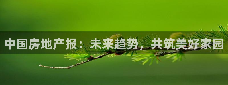 新宝那2O5O5O：中国房地产报：未来趋势，共筑美好家园