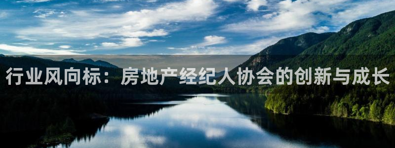 新宝G5：行业风向标：房地产经纪人协会的创新与成长