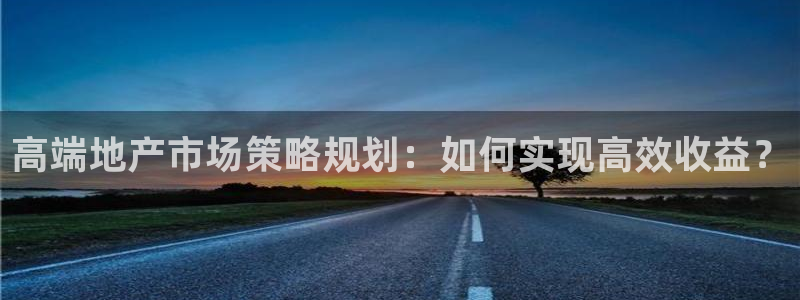 新5宝：高端地产市场策略规划：如何实现高效收益？