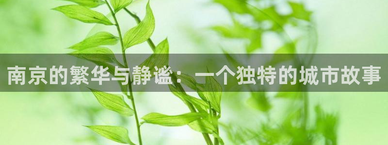 新宝5上来77542：南京的繁华与静谧：一个独特的城市故事
