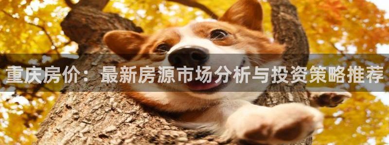 新宝5-测速：重庆房价：最新房源市场分析与投资策略推荐