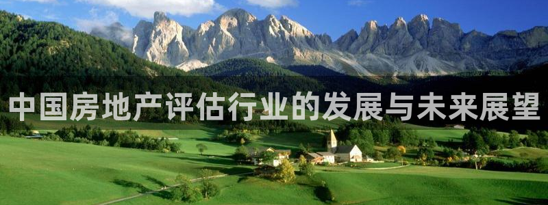 新宝5导师：中国房地产评估行业的发展与未来展望
