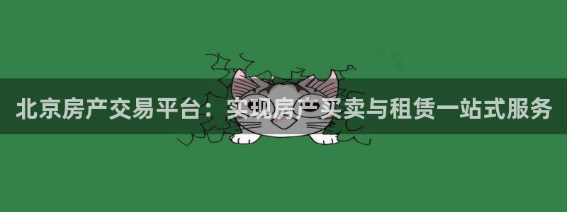 新宝5代理