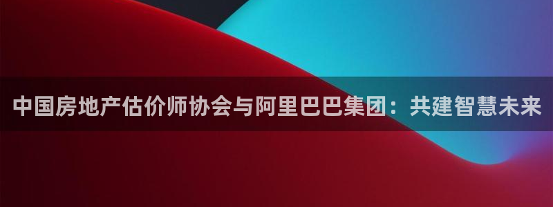 新宝5是谁
