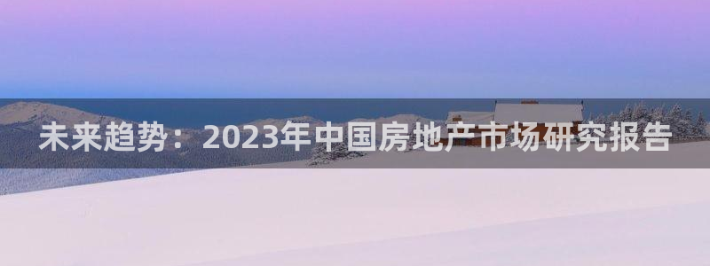 新宝5娱乐平台：未来趋势：2023年中国房地产市场研究报告