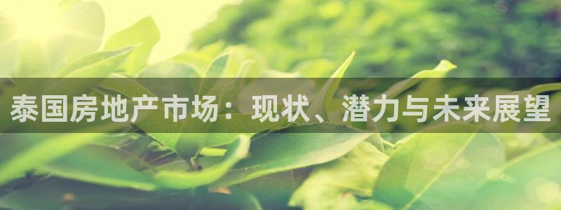 新宝5测速登录：泰国房地产市场：现状、潜力与未来展望