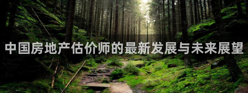 新宝5手机app：中国房地产估价师的最新发展与未来展望