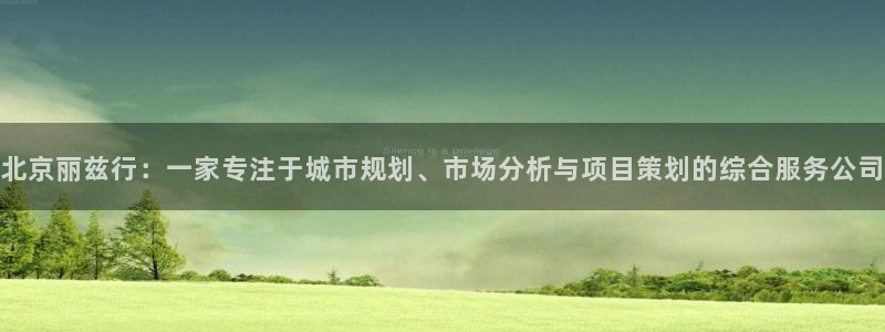 新宝gg5：北京丽兹行：一家专注于城市规划、市场分析与项目策