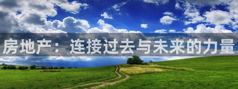 新宝5是谁