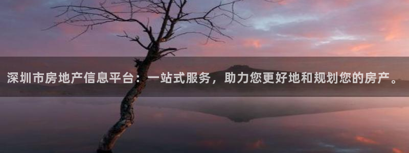 新宝5手机app