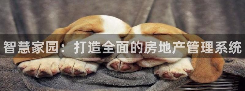 新宝 5测速：智慧家园：打造全面的房地产管理系统