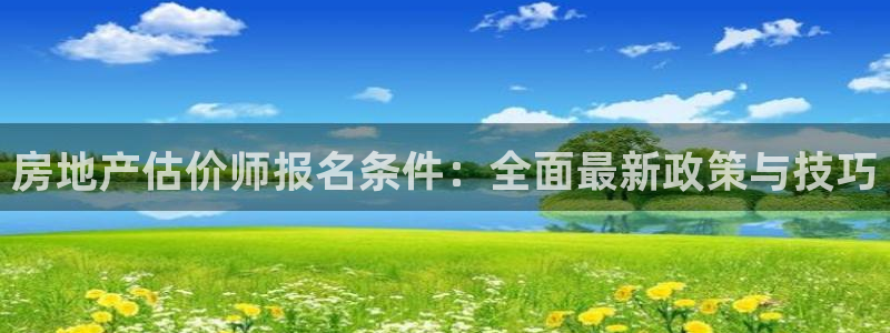 新宝注5册：房地产估价师报名条件：全面最新政策与技巧
