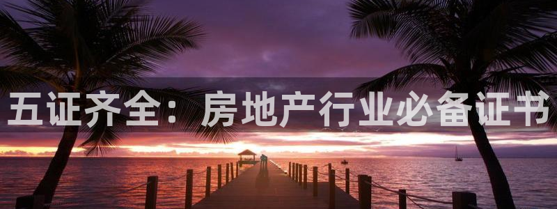 p5r新宝魔：五证齐全：房地产行业必备证书