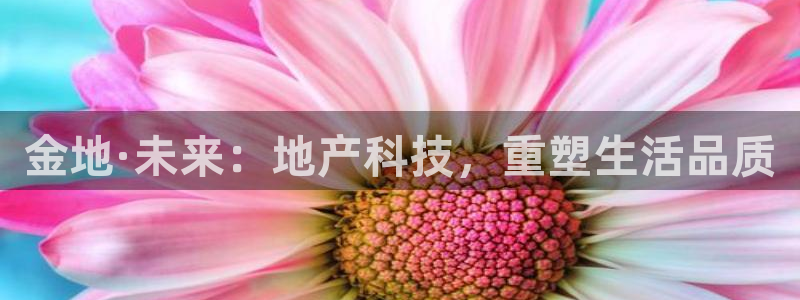 新宝5如何下载：金地·未来：地产科技，重塑生活品质