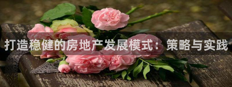 新宝5娱乐同：打造稳健的房地产发展模式：策略与实践