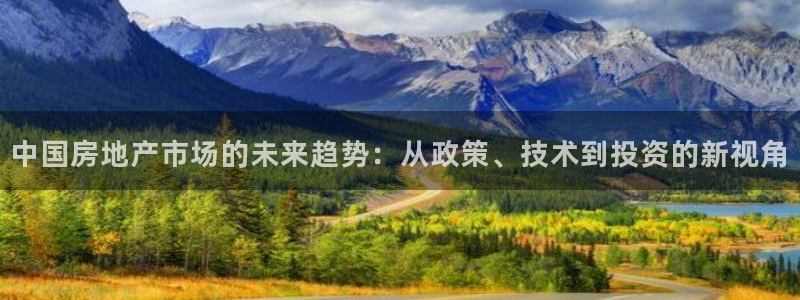 新宝5内部：中国房地产市场的未来趋势：从政策、技术到投资的新