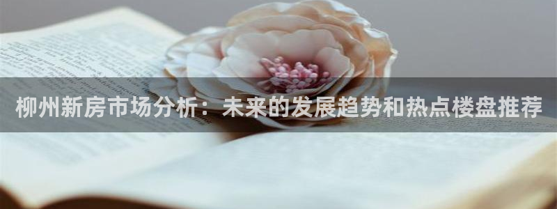 新宝5登陆地址：柳州新房市场分析：未来的发展趋势和热点楼盘推