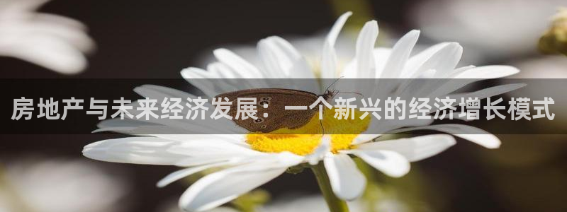 新宝5什么时候上市：房地产与未来经济发展：一个新兴的经济增长