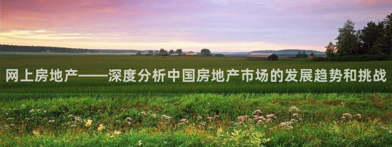 新宝5登录网址：网上房地产——深度分析中国房地产市场的发展趋