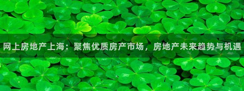 新宝5娱乐学：网上房地产上海：聚焦优质房产市场，房地产未来趋