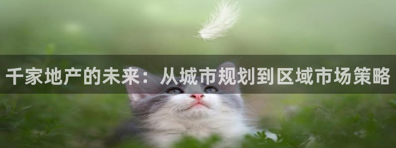 新宝5谠631257：千家地产的未来：从城市规划到区域市场策