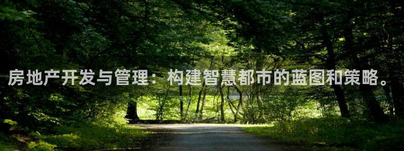 新宝5为啥开：房地产开发与管理：构建智慧都市的蓝图和策略。