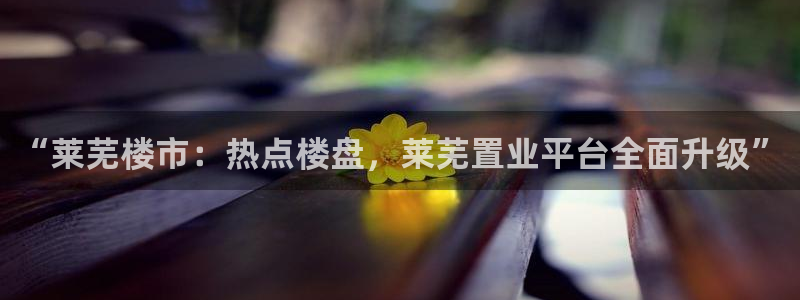 新宝5注册平台：“莱芜楼市：热点楼盘，莱芜置业平台全面升级”