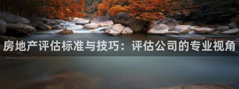 2022新宝骏rs 5：房地产评估标准与技巧：评估公司的专业