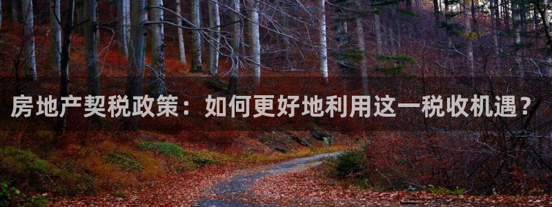 新宝5测速在线：房地产契税政策：如何更好地利用这一税收机遇？