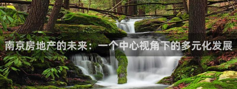 新宝5娱乐如：南京房地产的未来：一个中心视角下的多元化发展