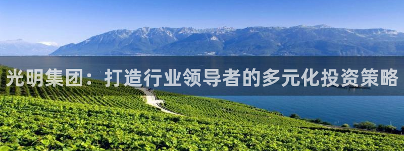 新宝5球维33 300：光明集团：打造行业领导者的多元化投资
