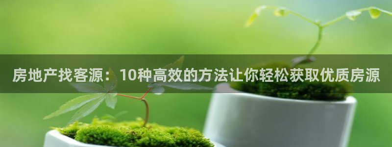 新宝5怎么代理：房地产找客源：10种高效的方法让你轻松获取优